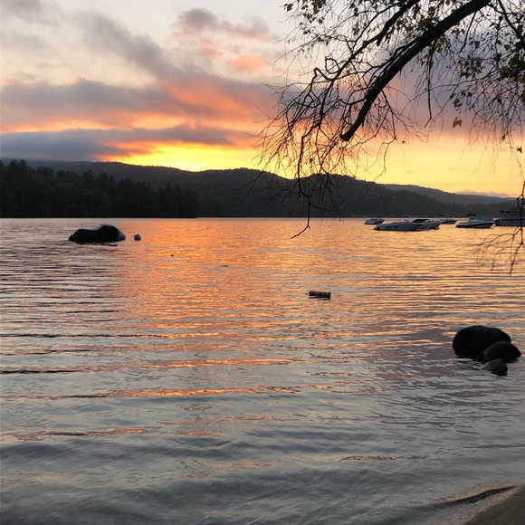 Meet your Posher, Vicki - Picture 1 of 1